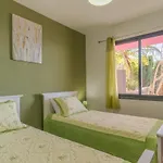 Вилла Rosa With Private Pool By Madeira