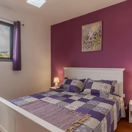 Rosa With Private Pool By Madeira